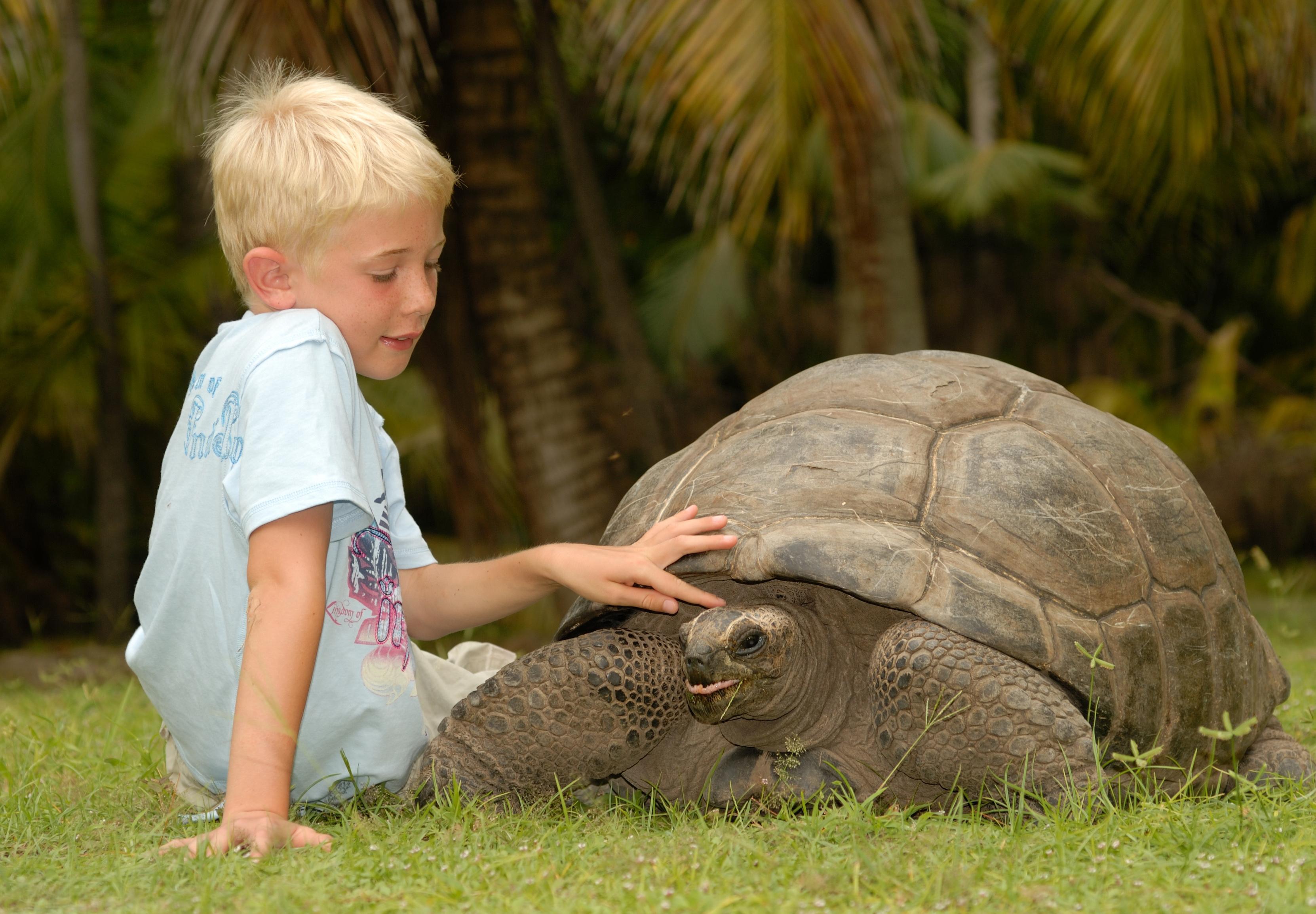 Coral Strand Smart Choice Hotel Beau Vallon  Eksteriør billede